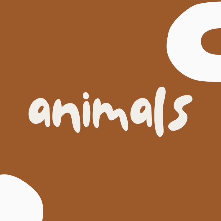 Animals