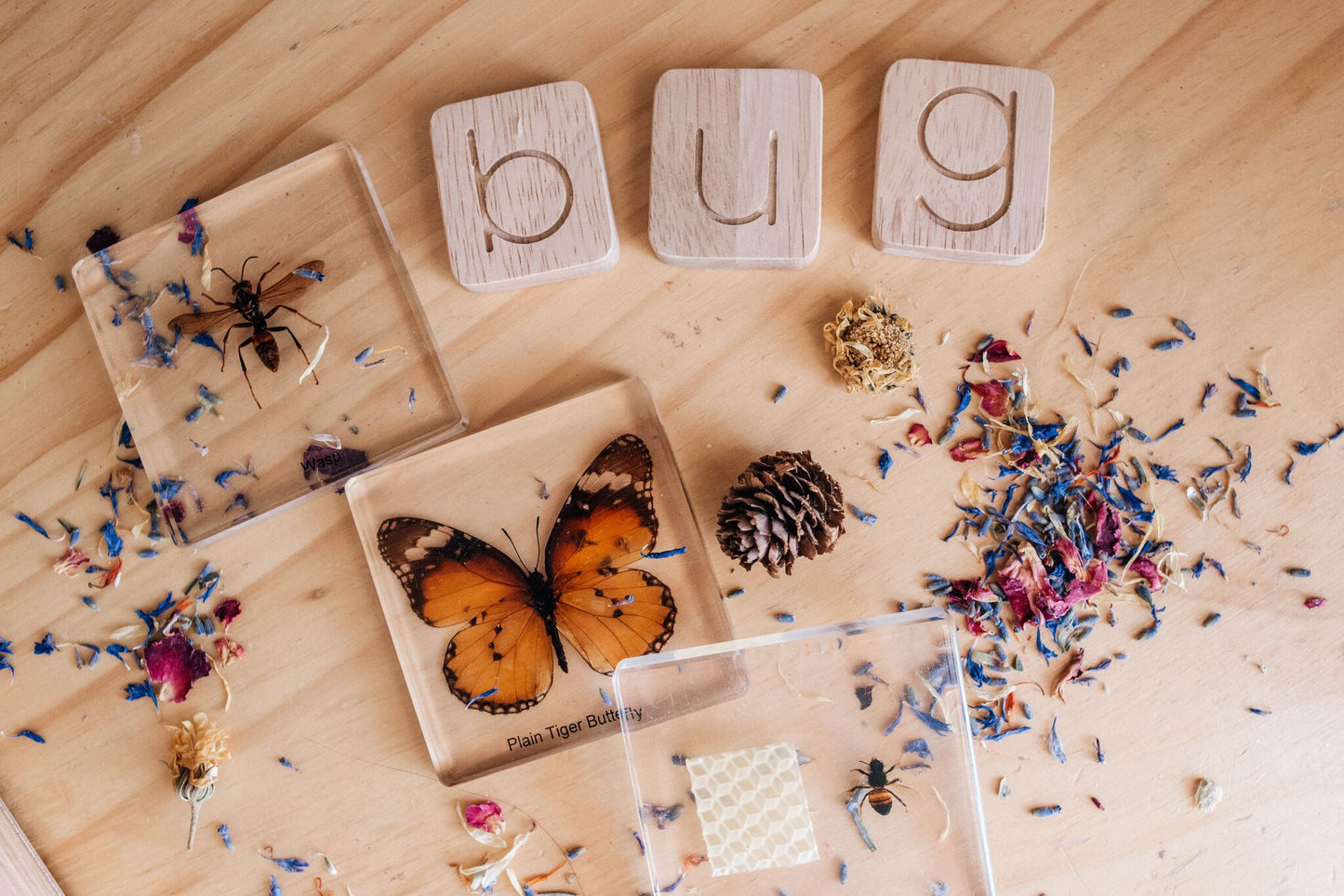 Word Building Kit