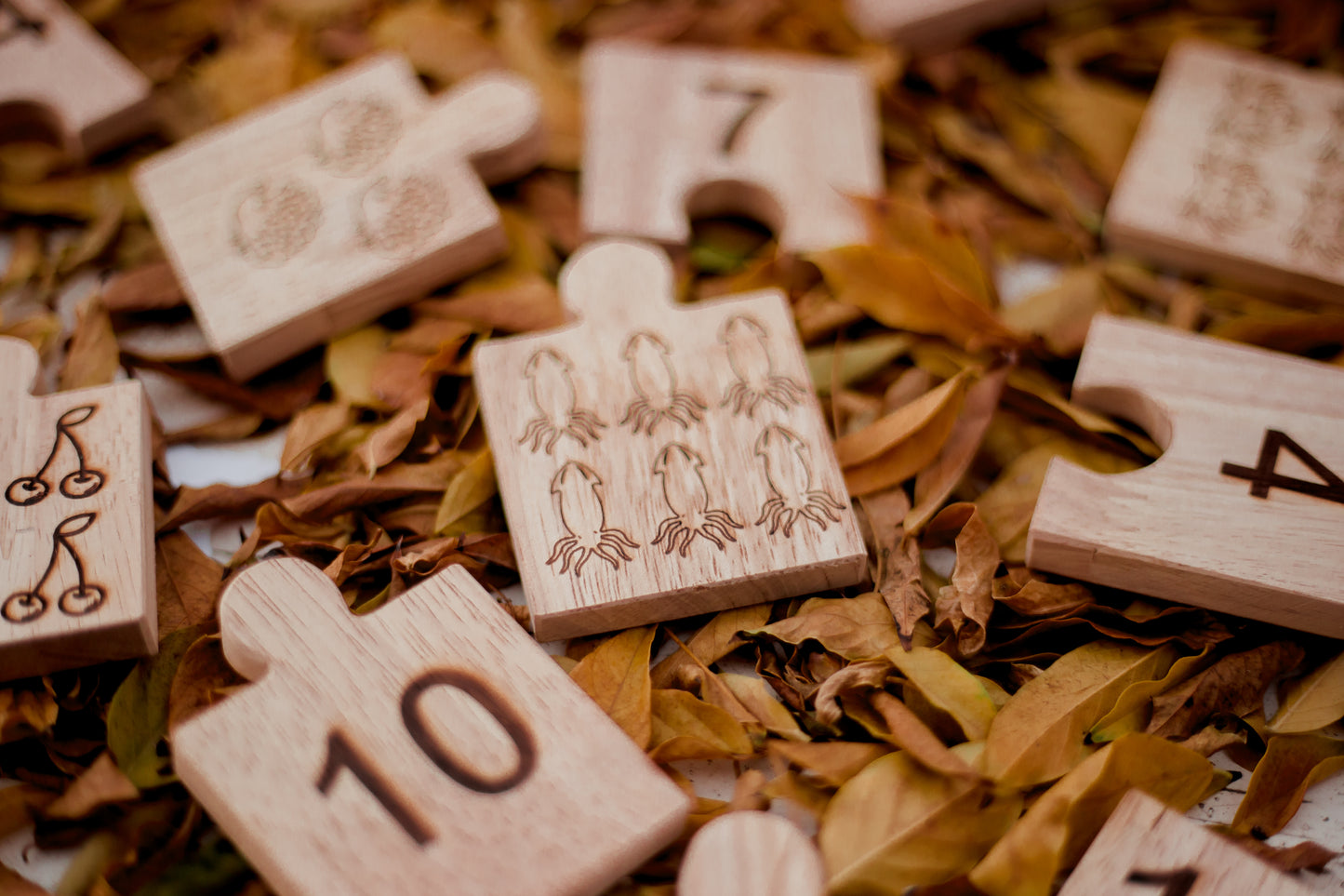 Wooden Number Jigsaw Puzzle