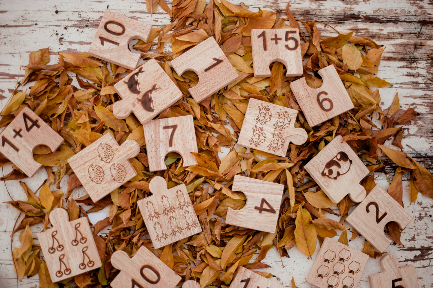 Wooden Number Jigsaw Puzzle